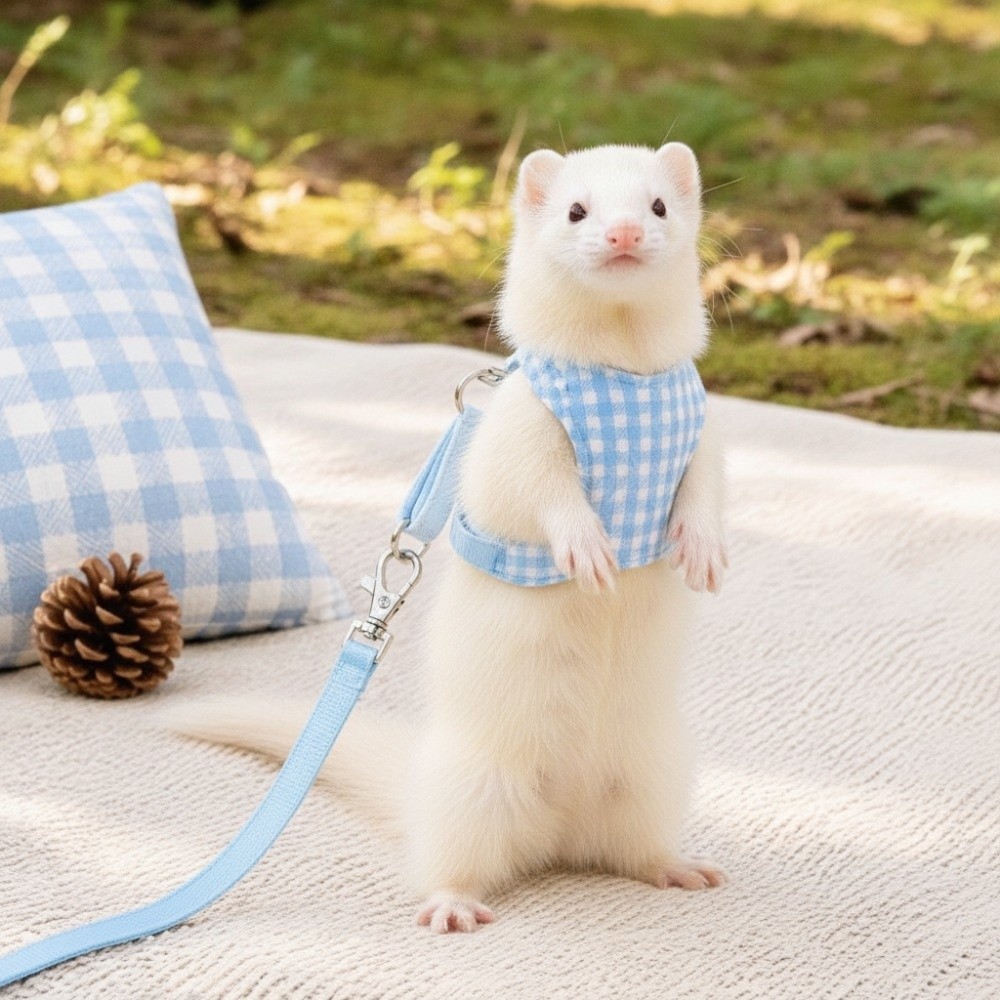 Plaid Ferret Escape-Proof Harn - D Ring Strap review and price