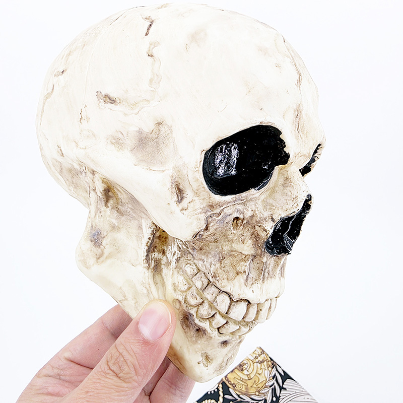 Floating Zombie Skull Magic Tr - Easy Cosplay Prop review and price