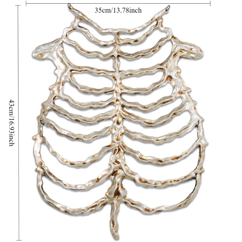 Skull Skeleton Prop For Party  - Cosplay Prop review and price
